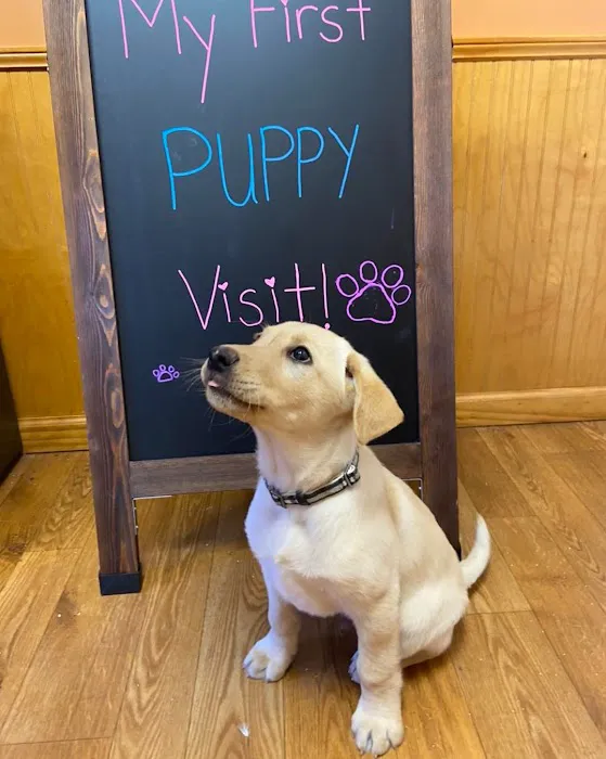 East Asheville Family Vet Picture 6