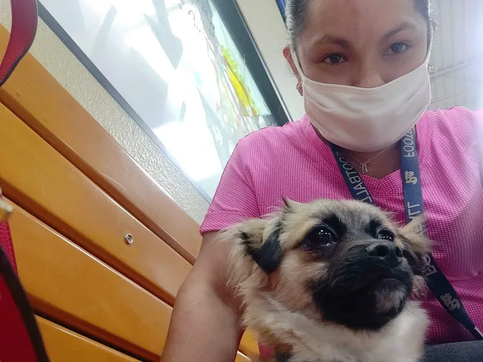 Banfield Pet Hospital Picture 9