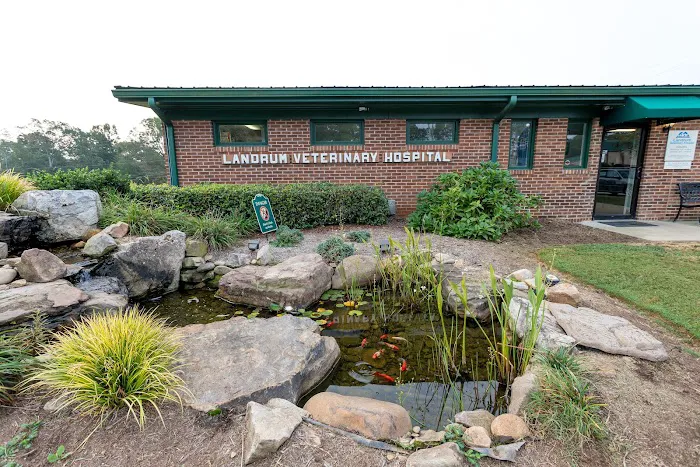 Landrum Veterinary Hospital Picture 8