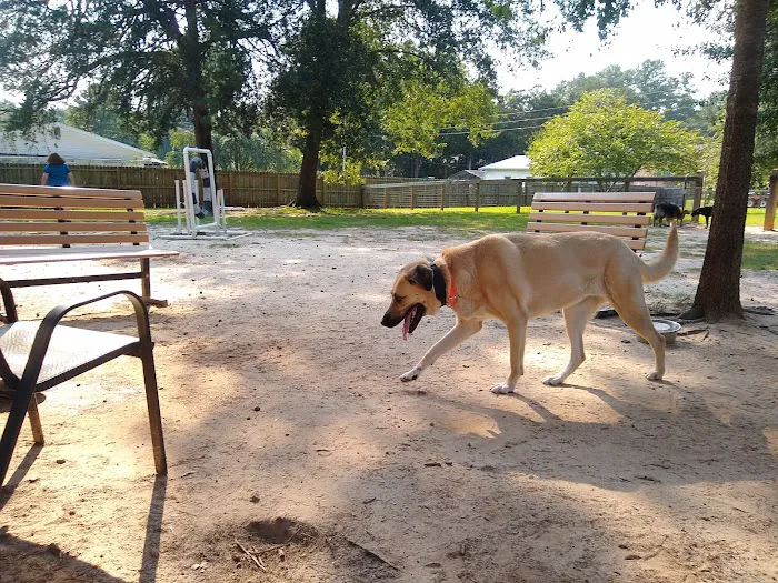 Landrum Veterinary Hospital Picture 7