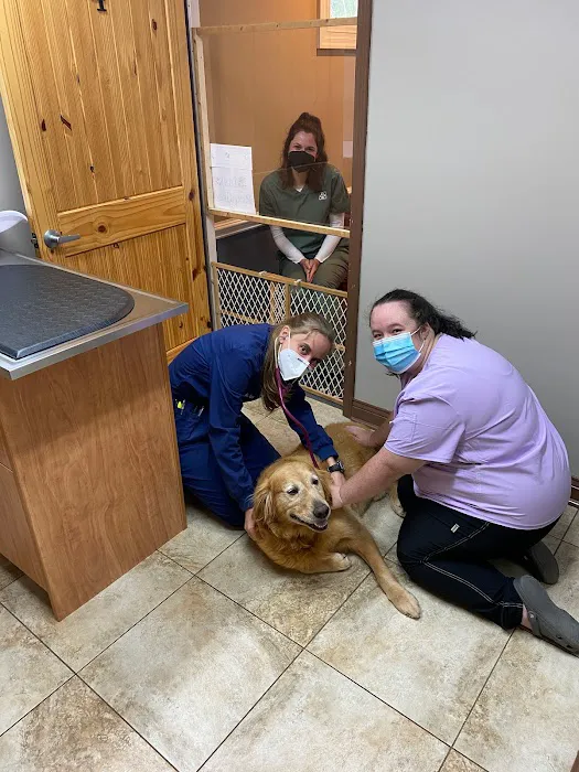 God's Creatures Animal Hospital Picture 3