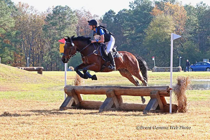 Cane Creek Animal Clinic and Equine Picture 7