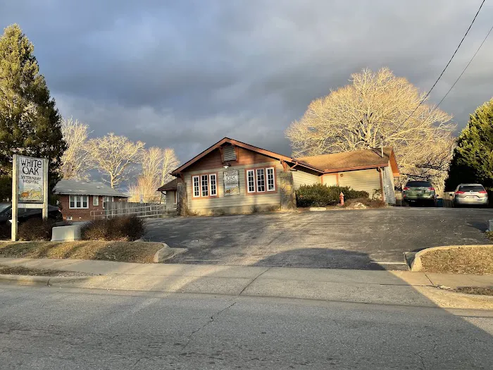 White Oak Veterinary Hospital Picture 8
