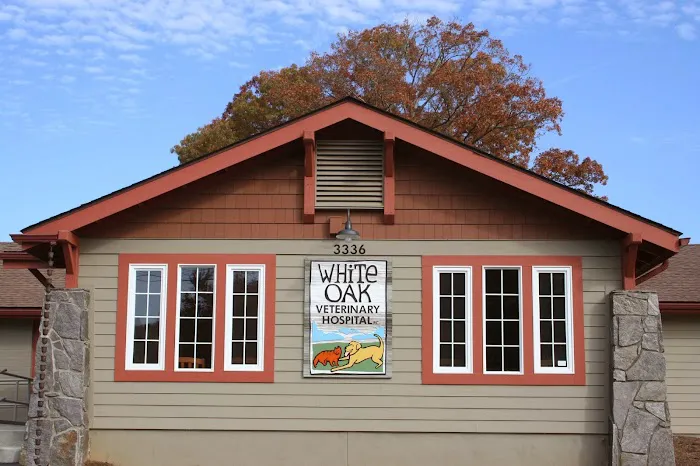 White Oak Veterinary Hospital Picture 4