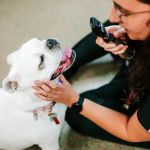Fletcher Animal Hospital