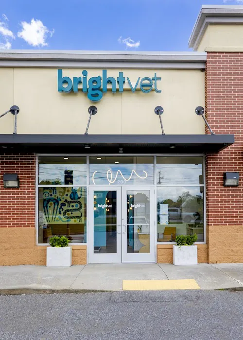 Bright Vet Picture 7