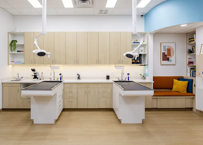 Bright Vet Picture 9