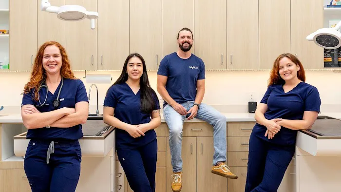 Bright Vet Picture 2