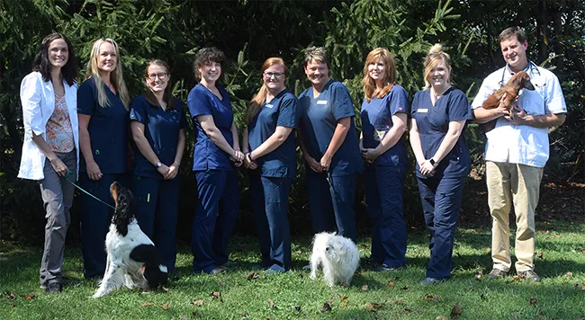 WNC Veterinary Hospital Picture 3