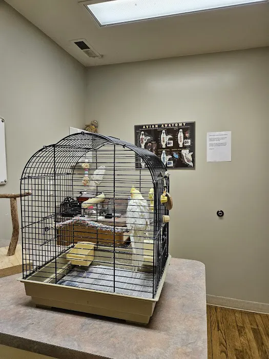 Sweeten Creek Animal and Bird Hospital Picture 8