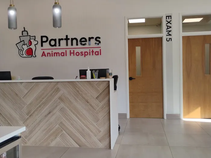 Partners Animal Hospital Asheville Picture 2