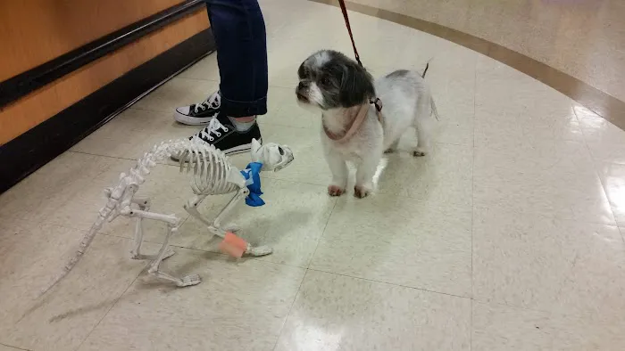 Banfield Pet Hospital Picture 1