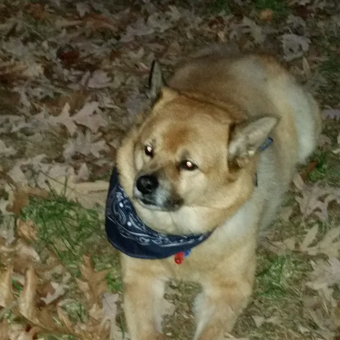 Banfield Pet Hospital Picture 7