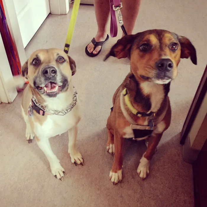 Beacon Veterinary Hospital Picture 10