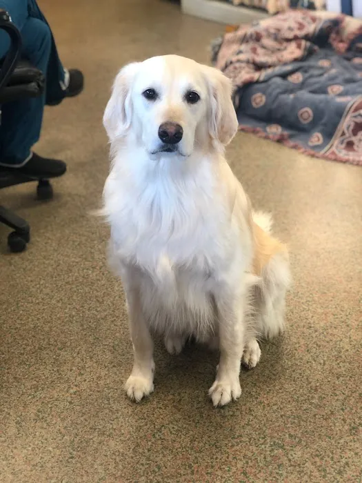 South Asheville Veterinary Emergency & Specialty Picture 9