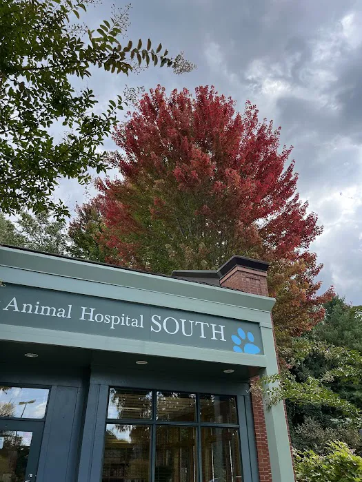 Animal Hospital South: Murr Emily DVM Picture 6