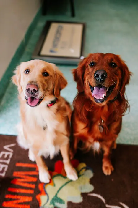 Twin Oaks Veterinary Clinic Picture 1