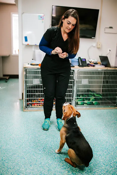 Twin Oaks Veterinary Clinic Picture 5