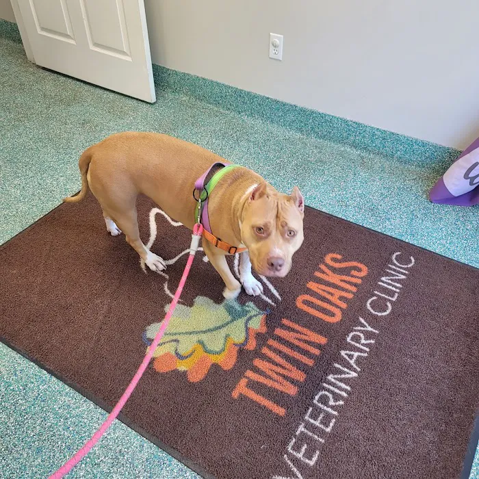 Twin Oaks Veterinary Clinic Picture 3