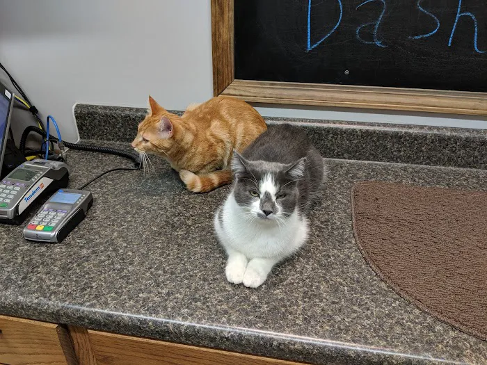 Creature Comforts Veterinary Resort and Suites, Inc. Picture 5