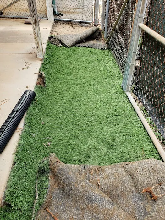 Creature Comforts Veterinary Resort and Suites, Inc. Picture 6
