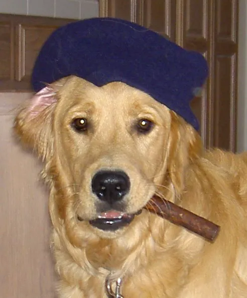 Saluda Veterinary Hospital Picture 6
