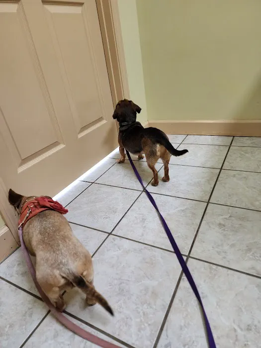 Saluda Veterinary Hospital Picture 1
