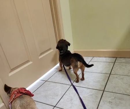 Saluda Veterinary Hospital