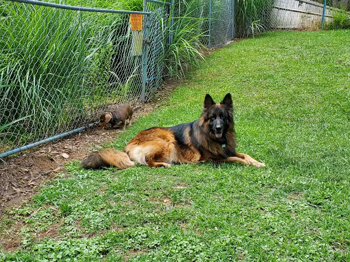 Saluda Veterinary Hospital Picture 3