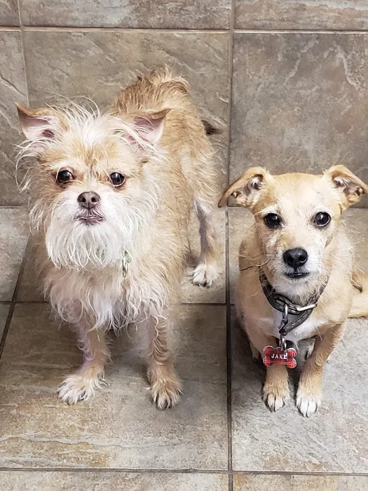 Indian Ridge Animal Hospital, Inc. Picture 5