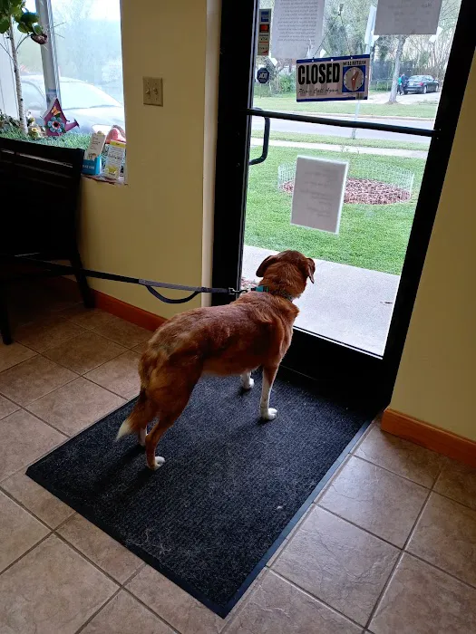 Roark Small Animal Clinic Picture 7