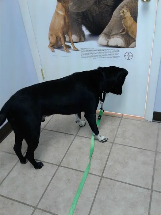 Roark Small Animal Clinic Picture 4