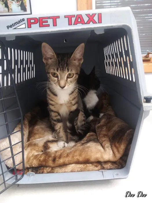 Roark Small Animal Clinic Picture 1