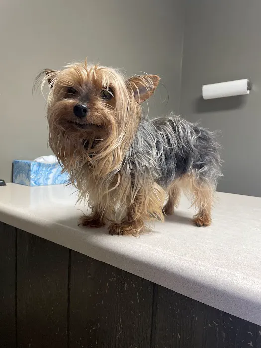Valley View Animal Clinic Picture 4