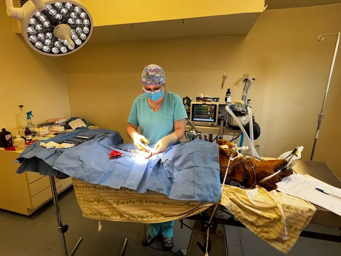 Kingsport Veterinary Hospital Picture 6