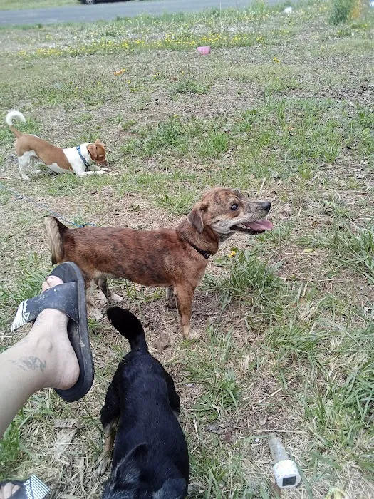 Lee Highway Animal Hospital Picture 4