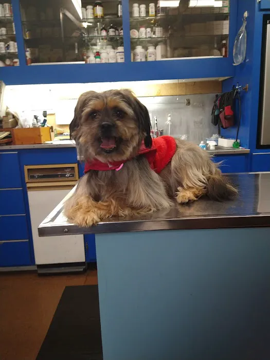 Lee Highway Animal Hospital Picture 1