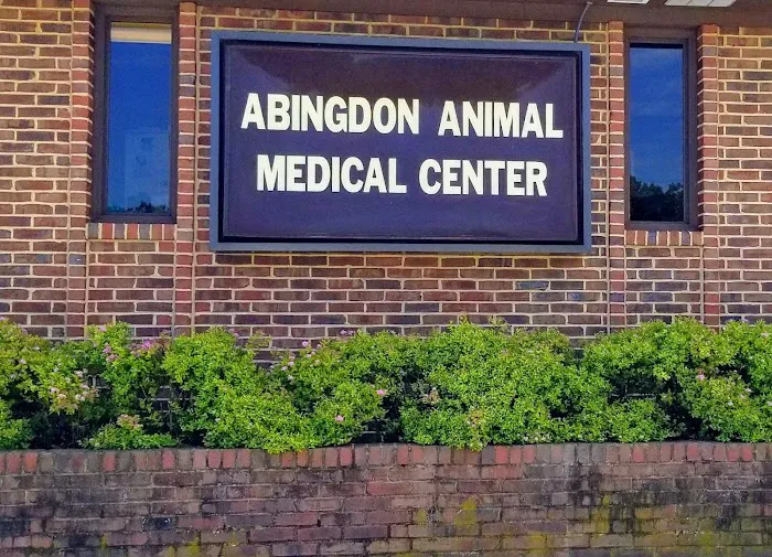 Abingdon Animal Medical Center Picture 3
