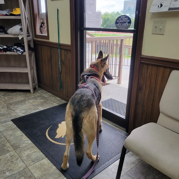 Abingdon Animal Medical Center Picture 4