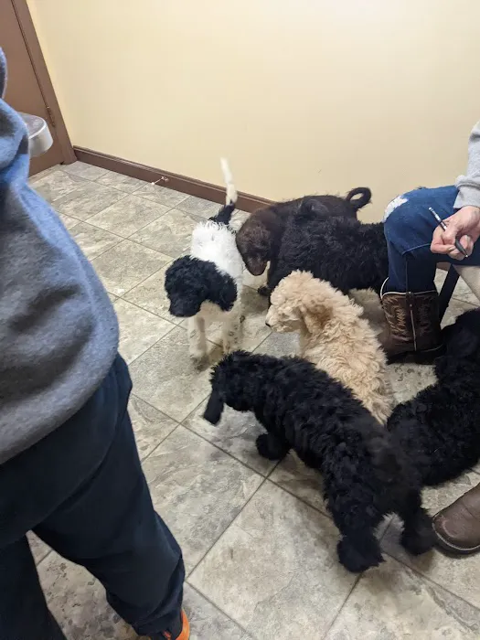 Abingdon Animal Medical Center Picture 8