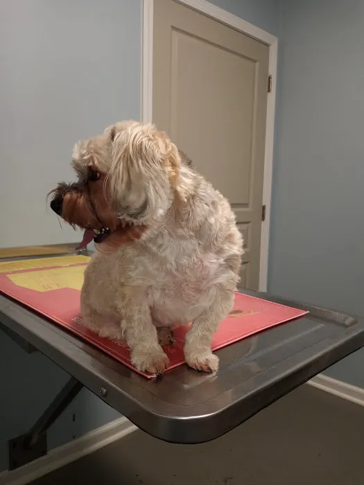 Keywood Animal Clinic Picture 5