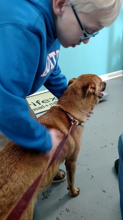 Keywood Animal Clinic Picture 4