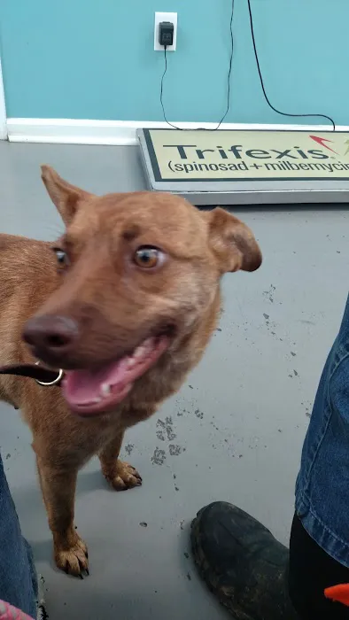 Keywood Animal Clinic Picture 8