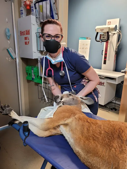 Middle Creek Veterinary Hospital & Exotic Animal Clinic Picture 9
