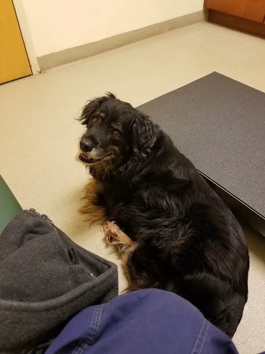 Middle Creek Veterinary Hospital & Exotic Animal Clinic Picture 5