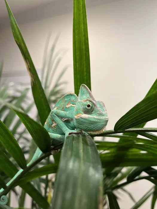 Middle Creek Veterinary Hospital & Exotic Animal Clinic Picture 7