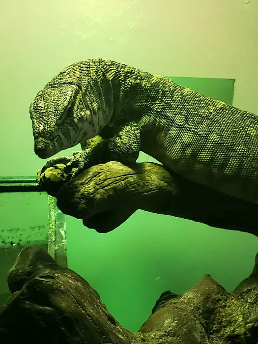 Middle Creek Veterinary Hospital & Exotic Animal Clinic Picture 6