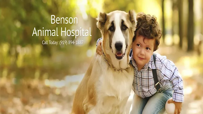 Benson Animal Hospital Picture 10