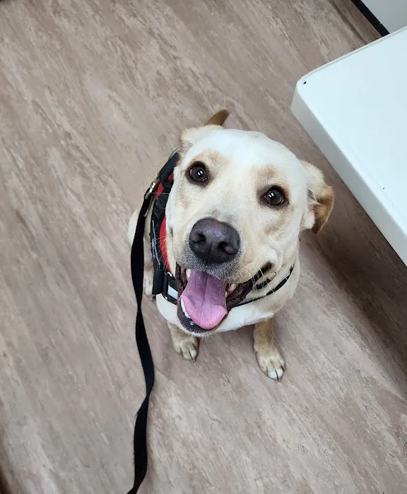 Benson Animal Hospital Picture 2