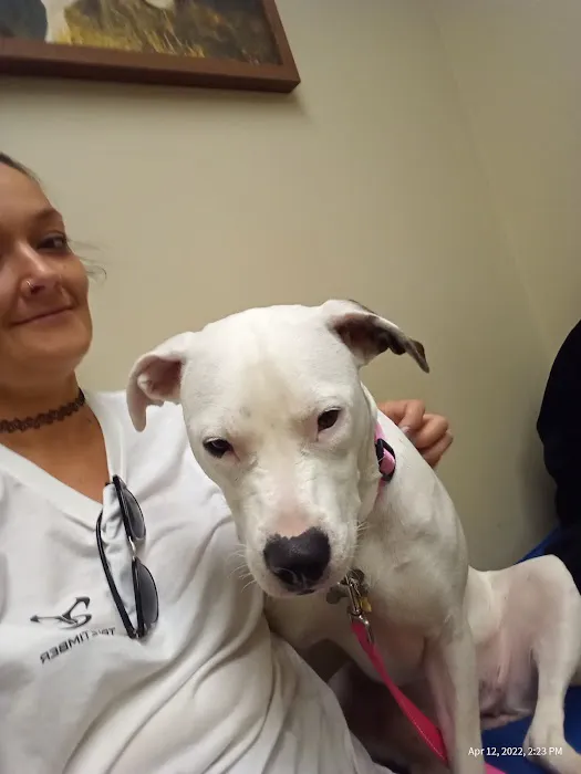 Hannah Creek Veterinary Hospital Picture 1